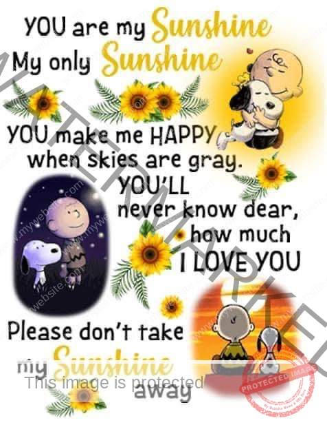 DXZV67DD4LEJJHZ7WYPXJ6MN You are my sunshine 17x22 inches - Image 1