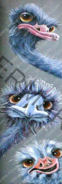 NDHHUDGKJS3OM2JL7DDHXESX Ostriches 12" X 35" - Image 1