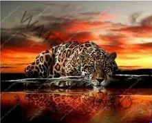 PJCKMP5PHHIHPIOA2DN3EBVL Leopard 24" X 18" - Image 1