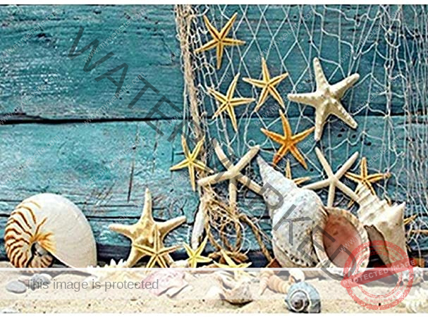 UA6A2HX6ZFRWLSIXM5APDRLS Shells Starfish 16" X 20" - Image 1